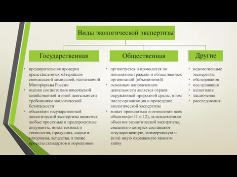 предварительная проверка представленных материалов специальной комиссией, назначаемой Минприроды России оценка