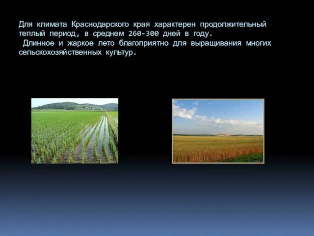 Для климата Краснодарского края характерен продолжительный теплый период, в среднем 260-300 дней в