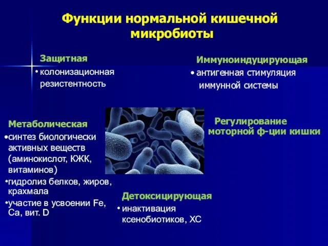 Функции нормальной кишечной микробиоты Защитная колонизационная резистентность Метаболическая синтез биологически