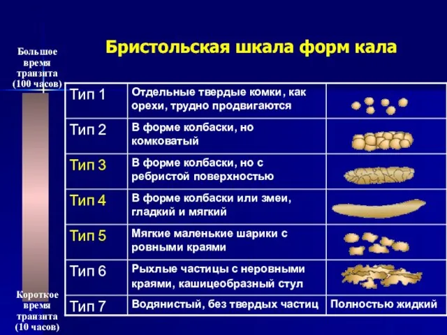 Бристольская шкала форм кала Большое время транзита (100 часов) Короткое время транзита (10 часов)