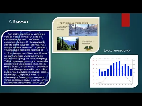 7. Климат Шкала температур: