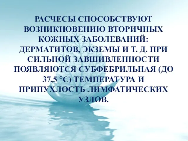 РАСЧЕСЫ СПОСОБСТВУЮТ ВОЗНИКНОВЕНИЮ ВТОРИЧНЫХ КОЖНЫХ ЗАБОЛЕВАНИЙ: ДЕРМАТИТОВ, ЭКЗЕМЫ И Т.