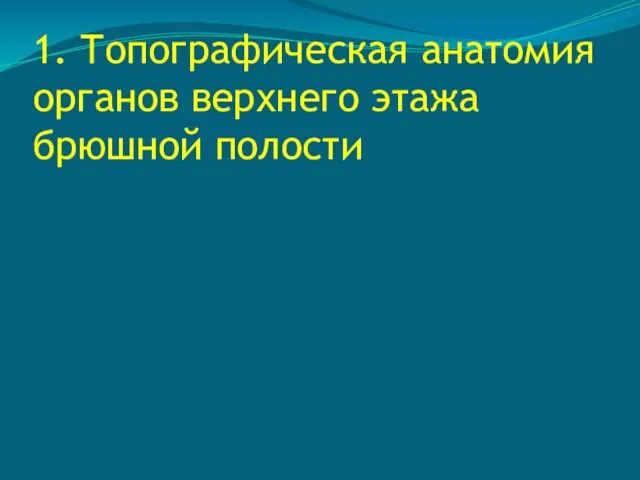 1. Топографическая анатомия органов верхнего этажа брюшной полости