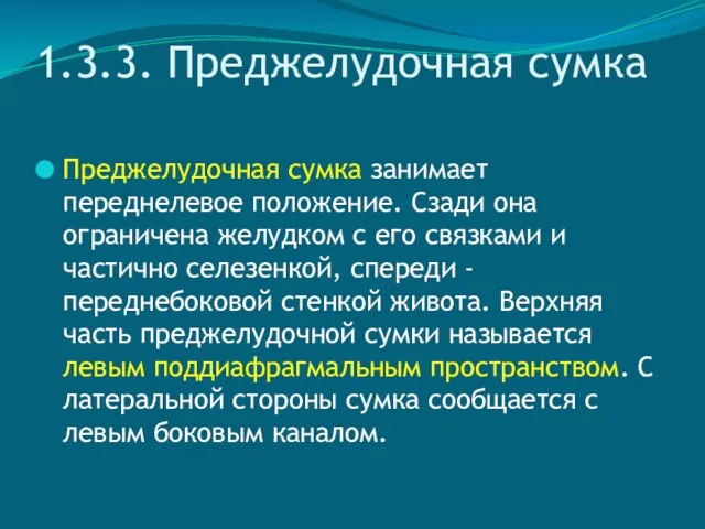 1.3.3. Преджелудочная сумка Преджелудочная сумка занимает переднелевое положение. Сзади она