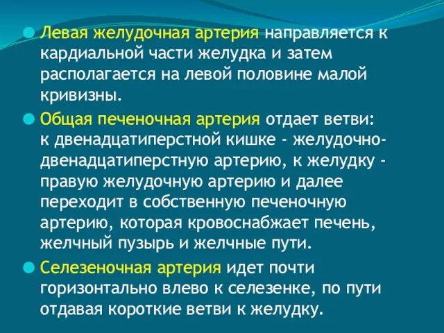 Левая желудочная артерия направляется к кардиальной части желудка и затем