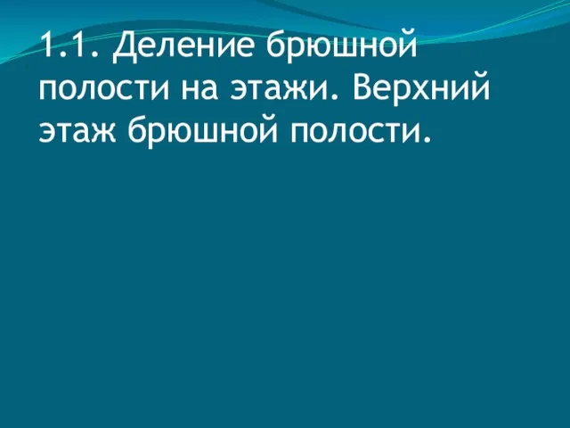 1.1. Деление брюшной полости на этажи. Верхний этаж брюшной полости.