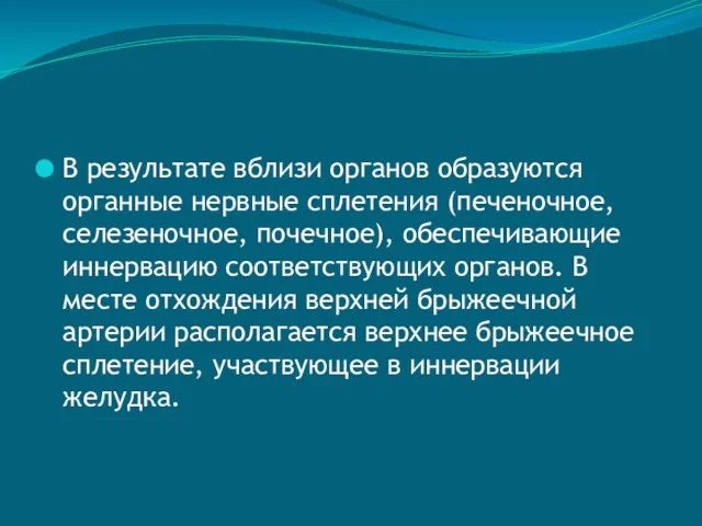 В результате вблизи органов образуются органные нервные сплетения (печеночное, селезеночное,