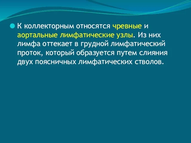 К коллекторным относятся чревные и аортальные лимфатические узлы. Из них