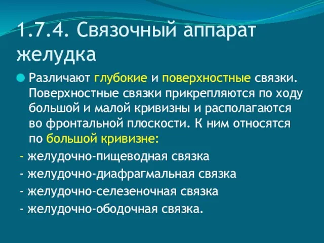 1.7.4. Связочный аппарат желудка Различают глубокие и поверхностные связки. Поверхностные