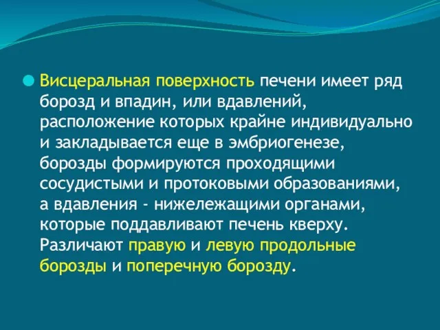 Висцеральная поверхность печени имеет ряд борозд и впадин, или вдавлений,