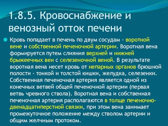 1.8.5. Кровоснабжение и венозный отток печени Кровь попадает в печень