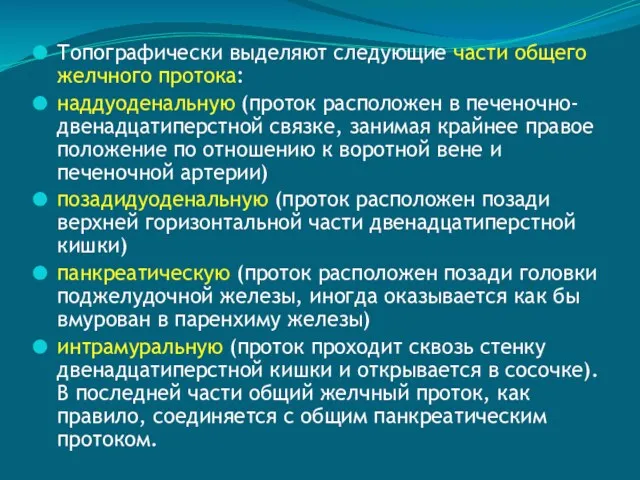 Топографически выделяют следующие части общего желчного протока: наддуоденальную (проток расположен