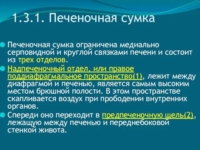 1.3.1. Печеночная сумка Печеночная сумка ограничена медиально серповидной и круглой