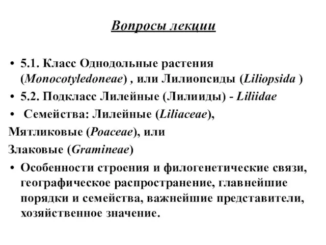 Вопросы лекции 5.1. Класс Однодольные растения (Monocotyledoneae) , или Лилиопсиды