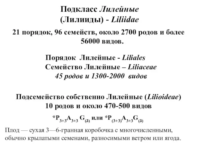 Подкласс Лилейные (Лилииды) - Liliidae 21 порядок, 96 семейств, около