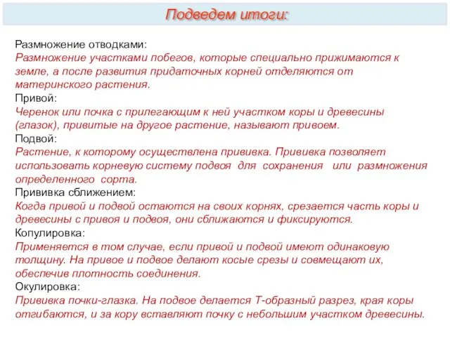 Размножение отводками: Размножение участками побегов, которые специально прижимаются к земле,