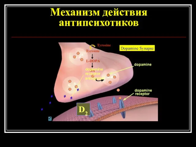 Механизм действия антипсихотиков dopamine receptor antagonist D2