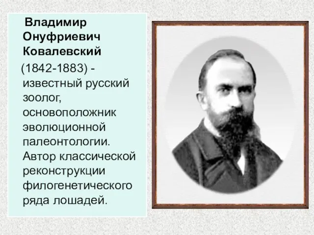 Владимир Онуфриевич Ковалевский (1842-1883) - известный русский зоолог, основоположник эволюционной