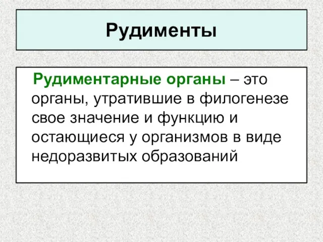 Рудименты Рудиментарные органы – это органы, утратившие в филогенезе свое