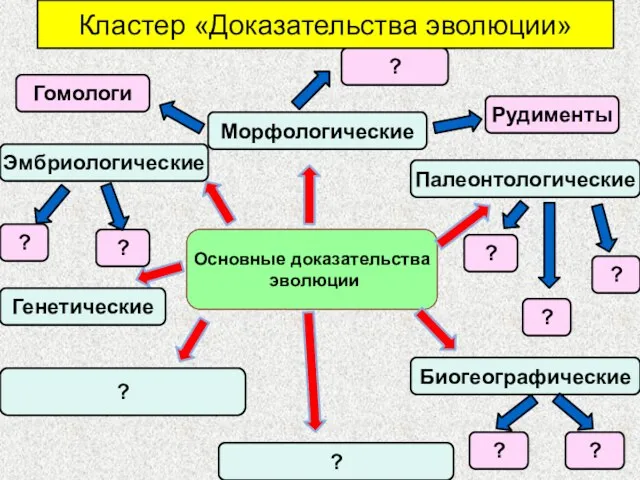 Кластер «Доказательства эволюции» Основные доказательства эволюции Палеонтологические Биогеографические Морфологические Эмбриологические