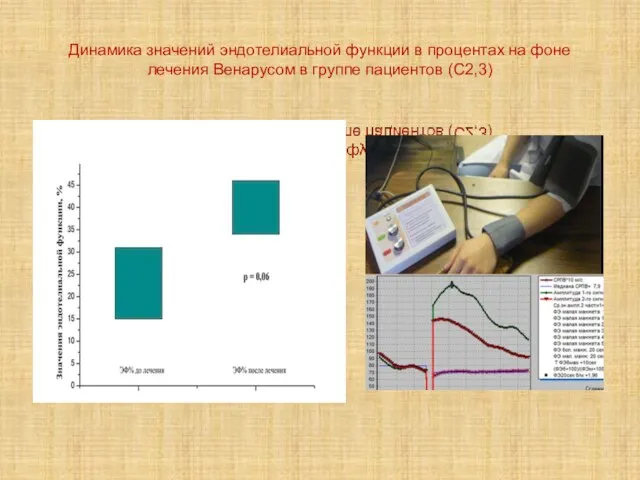 Динамика значений эндотелиальной функции в процентах на фоне лечения Венарусом в группе пациентов (С2,3)