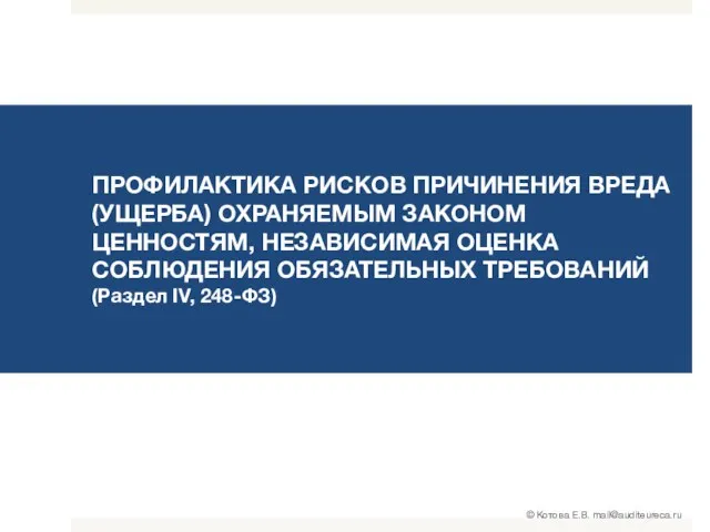 ПРОФИЛАКТИКА РИСКОВ ПРИЧИНЕНИЯ ВРЕДА (УЩЕРБА) ОХРАНЯЕМЫМ ЗАКОНОМ ЦЕННОСТЯМ, НЕЗАВИСИМАЯ ОЦЕНКА