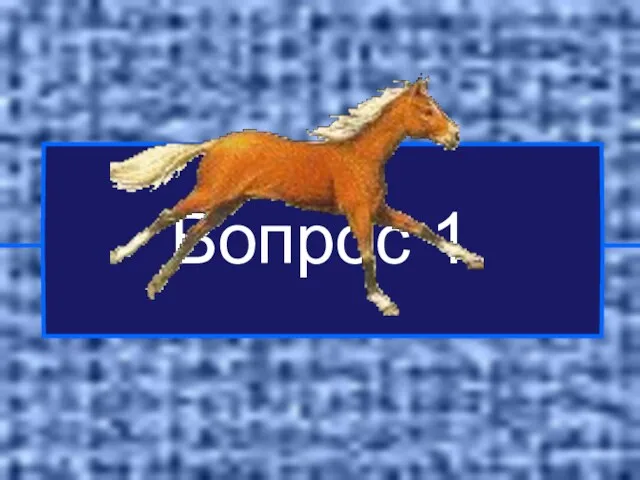 Вопрос 1