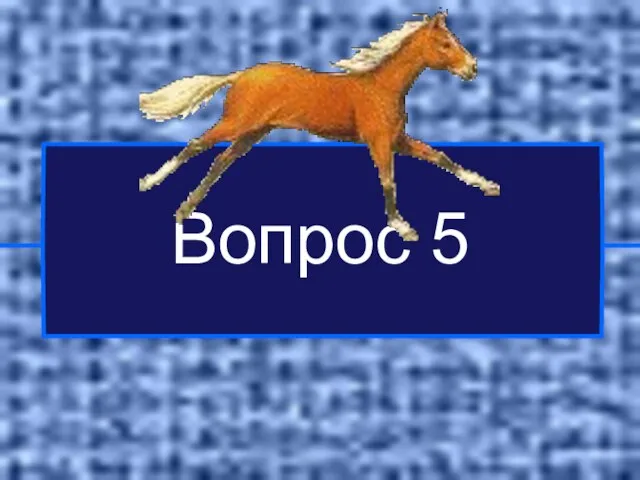 Вопрос 5