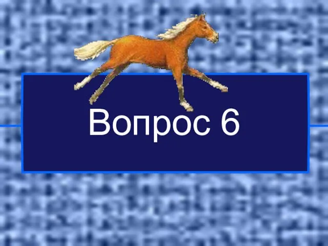 Вопрос 6