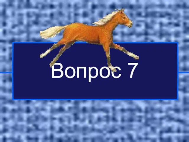 Вопрос 7