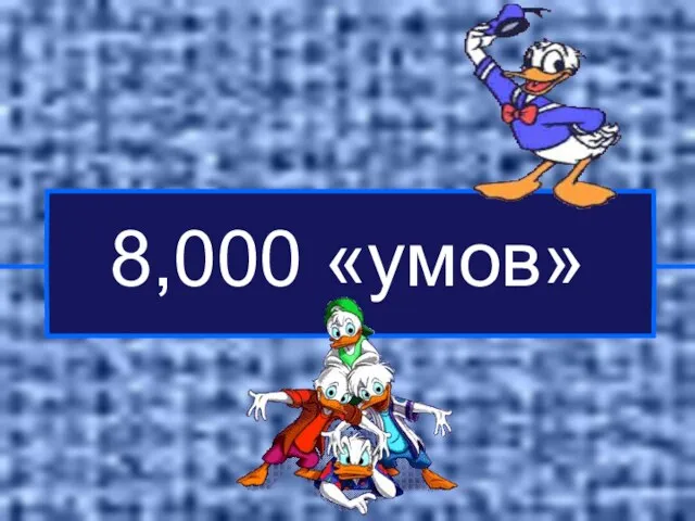 8,000 «умов»