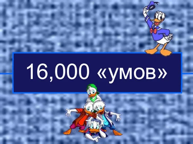 16,000 «умов»