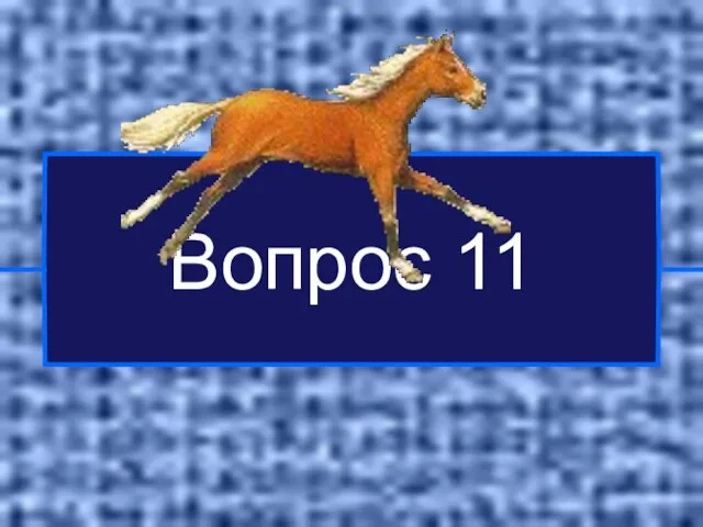 Вопрос 11