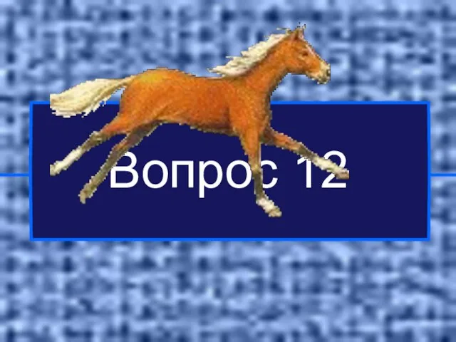 Вопрос 12