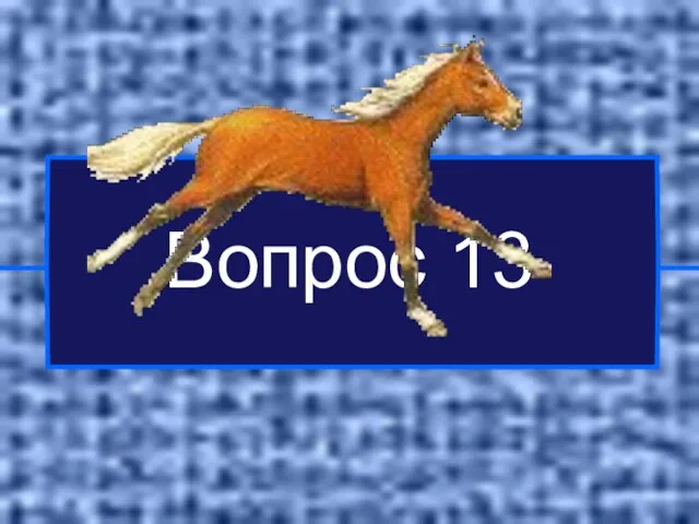 Вопрос 13