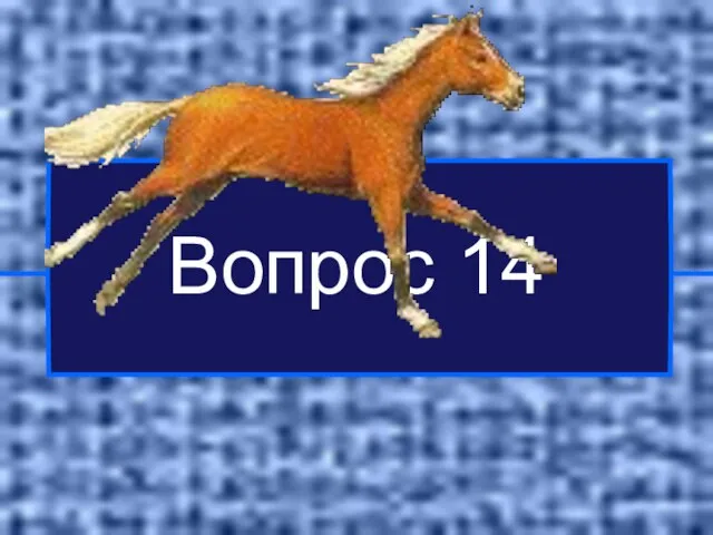 Вопрос 14