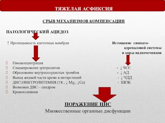 ТЯЖЕЛАЯ АСФИКСИЯ СРЫВ МЕХАНИЗМОВ КОМПЕНСАЦИИ ПАТОЛОГИЧЕСКИЙ АЦИДОЗ ↑ Проницаемость клеточных