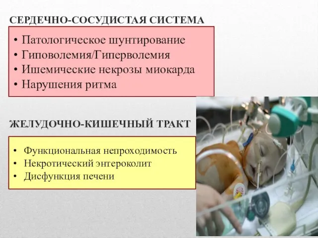 СЕРДЕЧНО-СОСУДИСТАЯ СИСТЕМА ЖЕЛУДОЧНО-КИШЕЧНЫЙ ТРАКТ Патологическое шунтирование Гиповолемия/Гиперволемия Ишемические некрозы миокарда