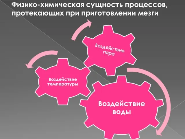 Физико-химическая сущность процессов, протекающих при приготовлении мезги