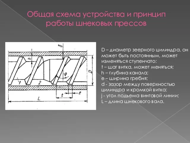 Общая схема устройства и принцип работы шнековых прессов D –