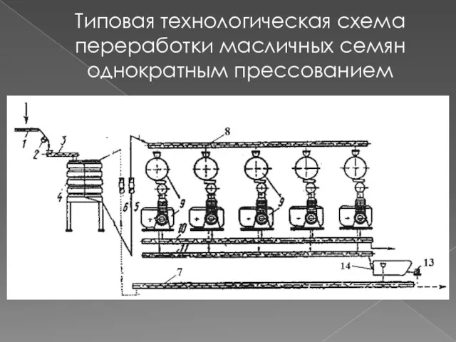 Типовая технологическая схема переработки масличных семян однократным прессованием