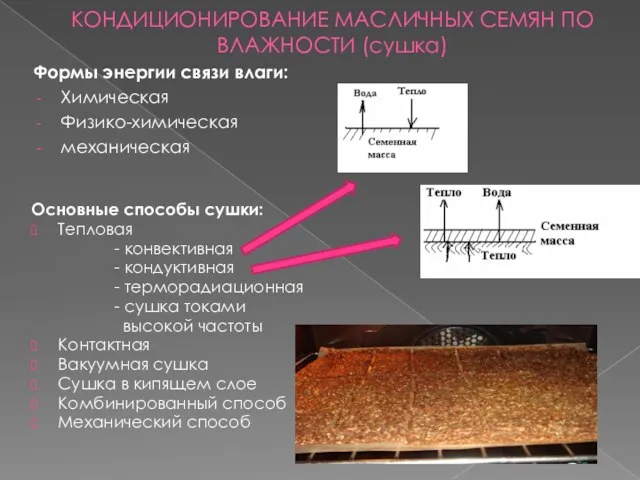 КОНДИЦИОНИРОВАНИЕ МАСЛИЧНЫХ СЕМЯН ПО ВЛАЖНОСТИ (сушка) Формы энергии связи влаги: