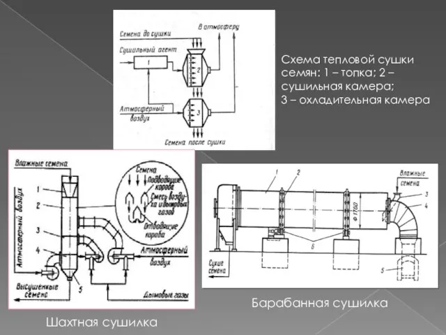 Схема тепловой сушки семян: 1 – топка; 2 – сушильная камера; 3 –