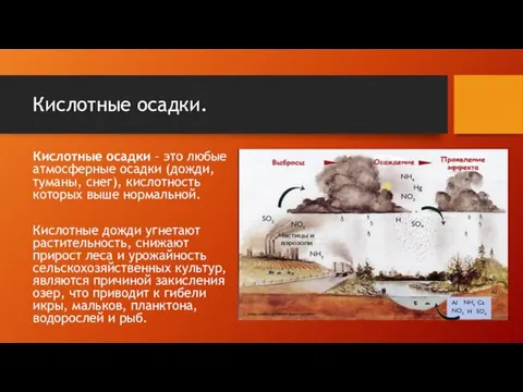 Кислотные осадки. Кислотные осадки – это любые атмосферные осадки (дожди,