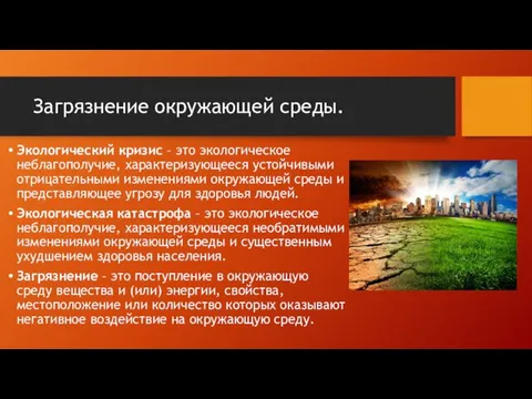 Загрязнение окружающей среды. Экологический кризис – это экологическое неблагополучие, характеризующееся