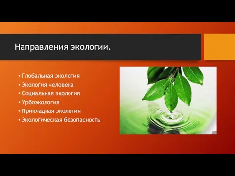 Направления экологии. Глобальная экология Экология человека Социальная экология Урбоэкология Прикладная экология Экологическая безопасность