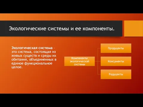 Экологические системы и ее компоненты. Экологическая система – это система,