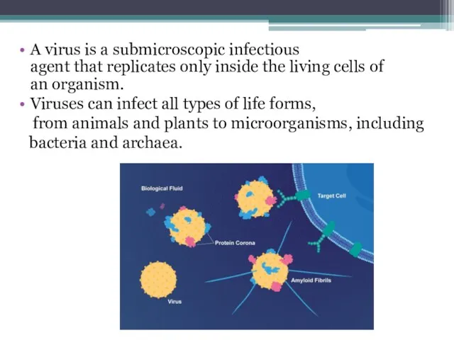 A virus is a submicroscopic infectious agent that replicates only
