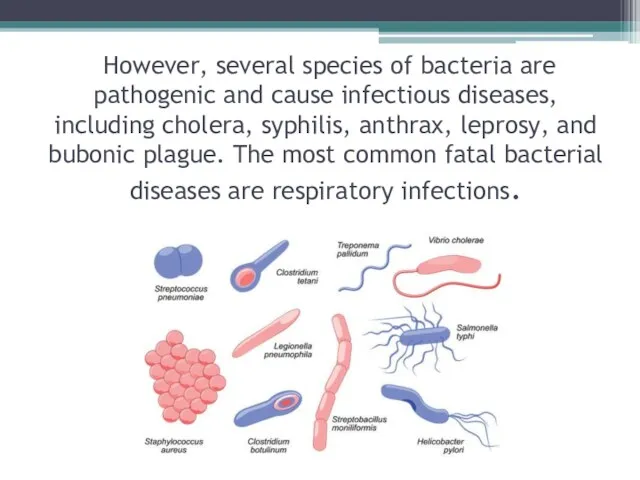 However, several species of bacteria are pathogenic and cause infectious
