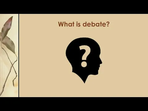 What is debate?